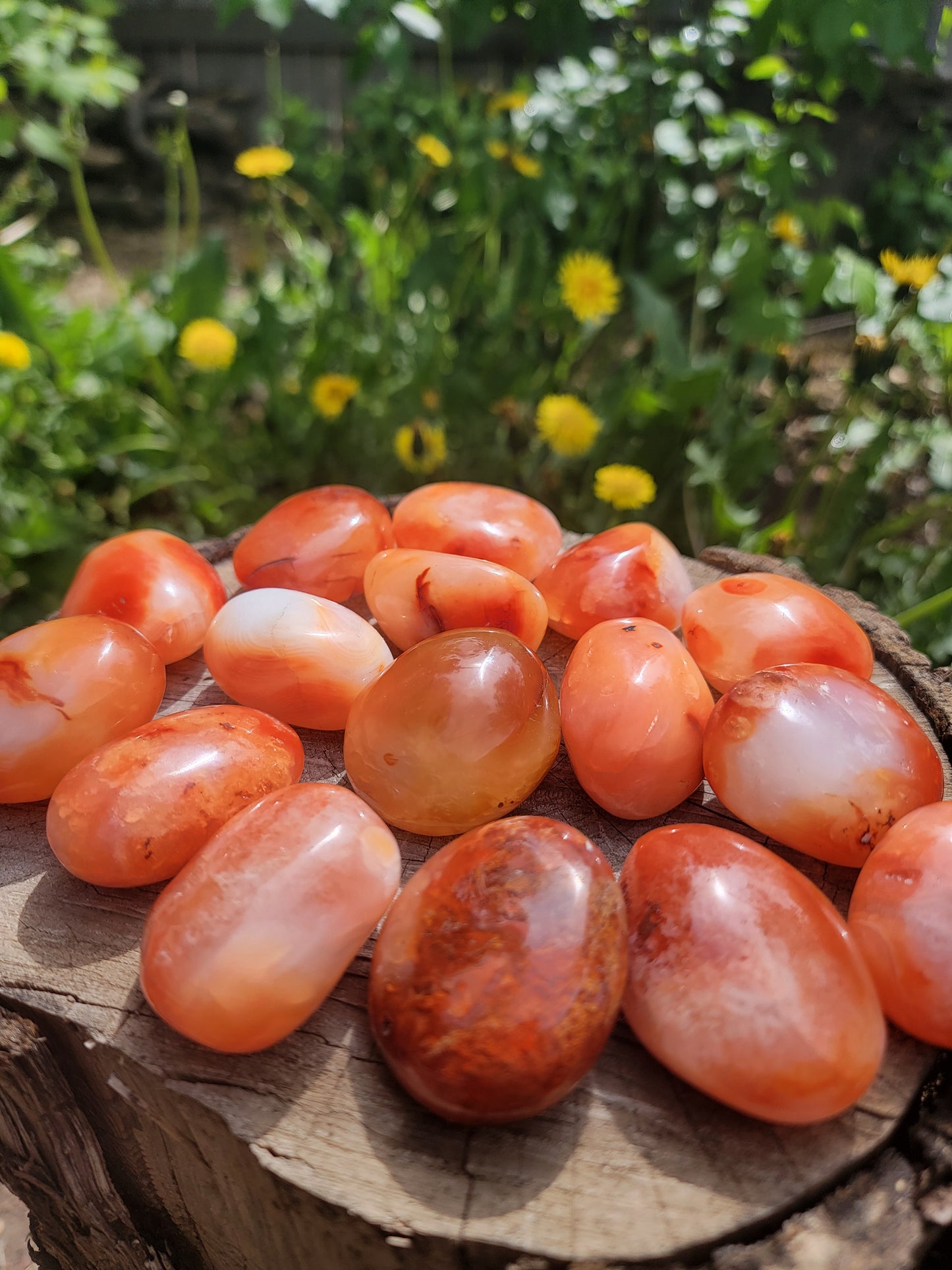 Carnelian Palmstone