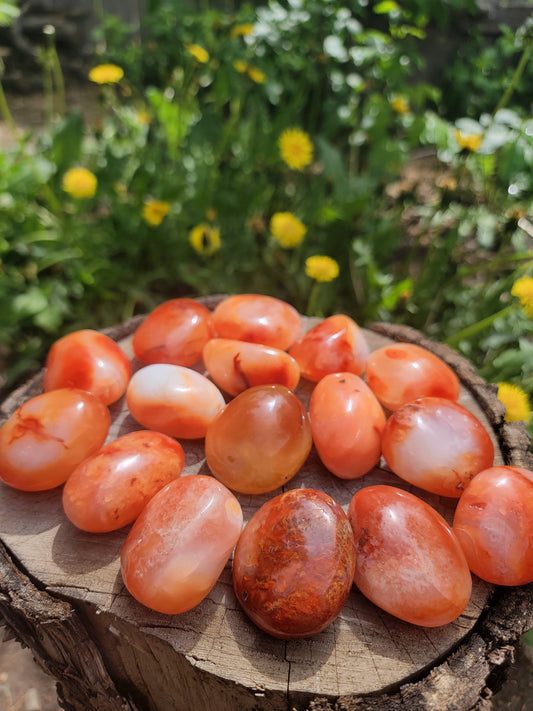 4 Carnelian Palmstones