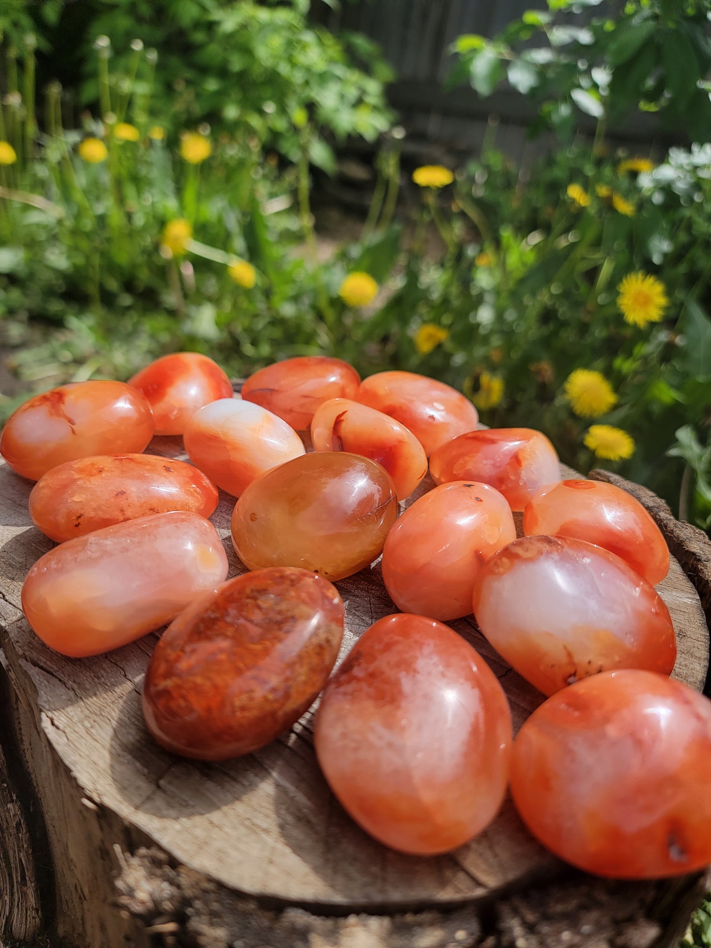 Carnelian Palmstone