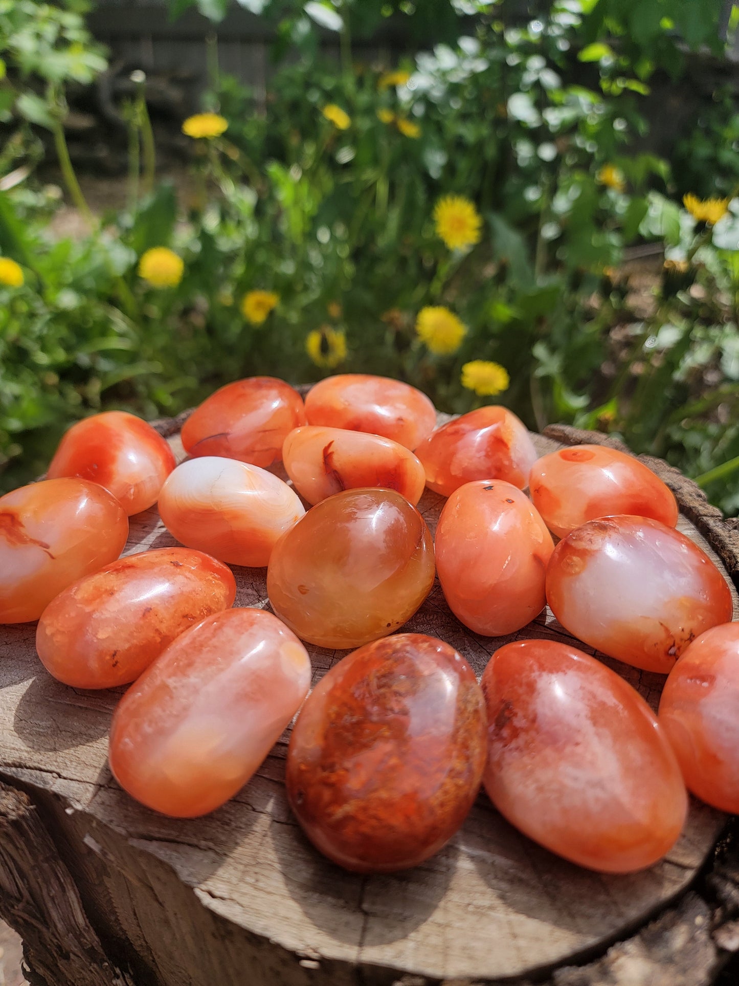 4 Carnelian Palmstones