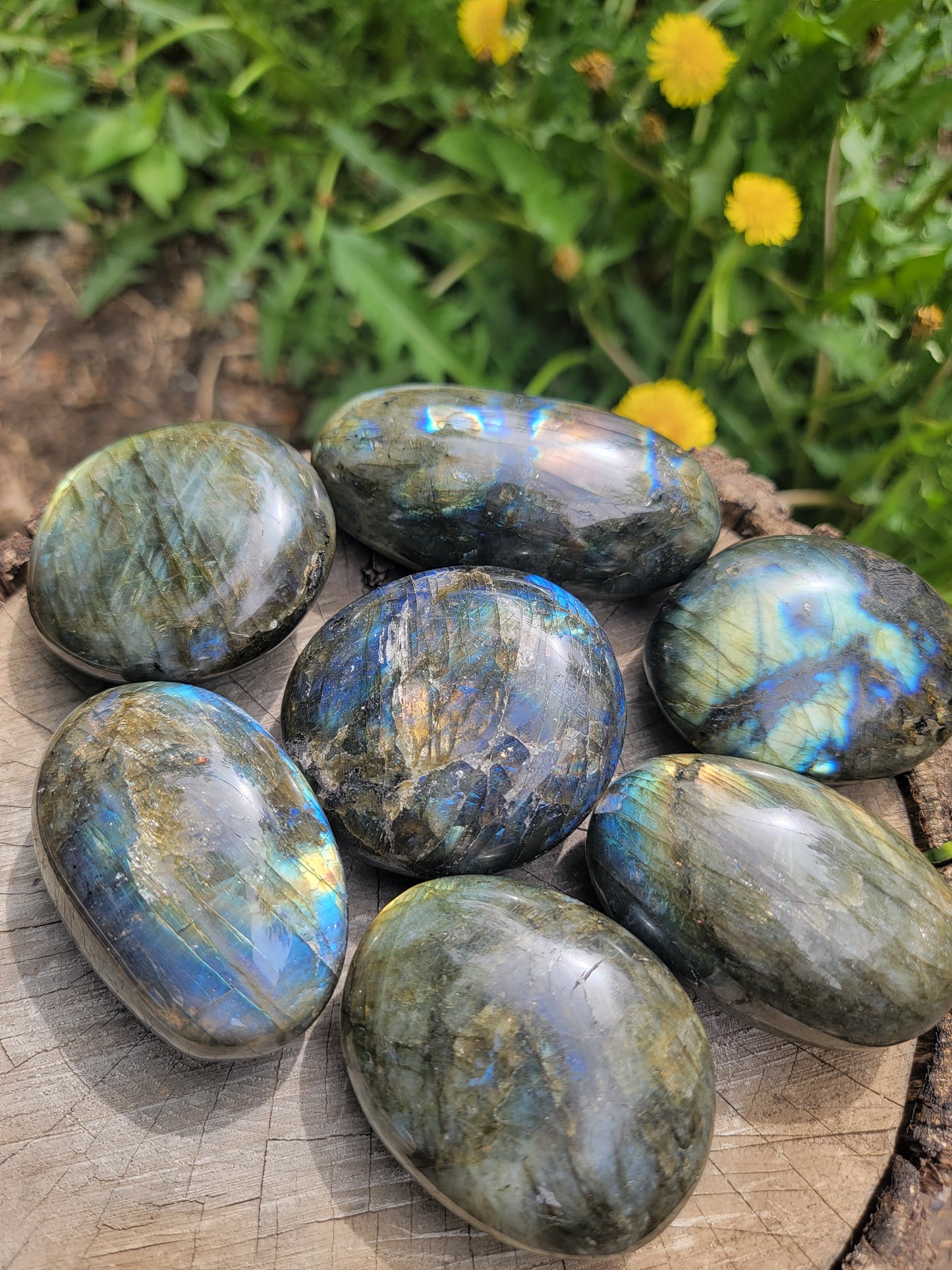 Large Labradorite Palmstone